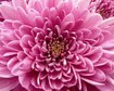 thumb-image-2024-02-29T14:01:36.970Z