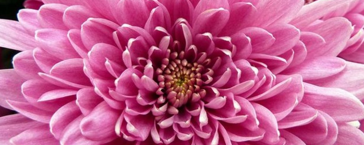 thumb-image-2024-02-29T14:01:36.970Z