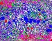 thumb-image-2024-02-29T14:01:37.935Z