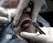 thumb-image-2024-02-29T14:01:38.293Z