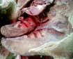 thumb-image-2024-02-29T14:01:39.875Z