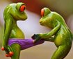 thumb-image-2024-02-29T14:01:39.631Z