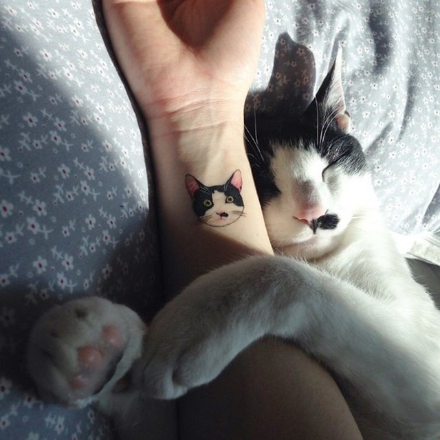 Dicas de tatuagem para apaixonados por gatos