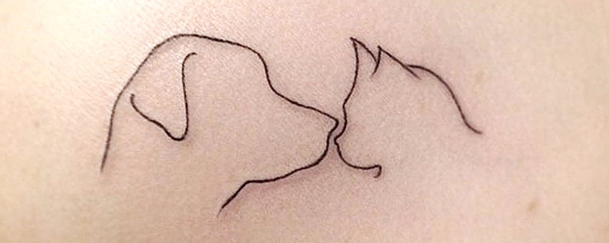 120 melhor ideia de Tatuagem de Gato e Cachorro