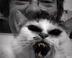 thumb-image-2024-02-29T14:01:40.088Z