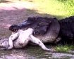 thumb-image-2024-02-29T14:01:40.210Z