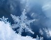 thumb-image-2024-02-29T14:01:40.775Z