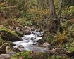 thumb-image-2024-02-29T14:01:40.836Z