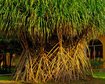 thumb-image-2024-02-29T14:01:41.341Z