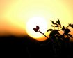 thumb-image-2024-02-29T14:01:41.783Z