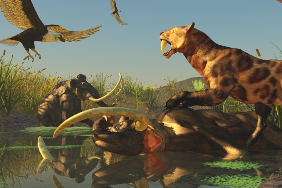 Imagem de Como seria a Terra se a humanidade nunca tivesse existido? no megacurioso
