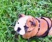 thumb-image-2024-02-29T14:01:42.025Z