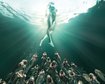 thumb-image-2024-02-29T14:01:42.110Z