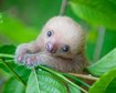 thumb-image-2024-02-29T14:01:43.016Z