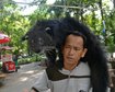 thumb-image-2024-02-29T14:01:43.117Z