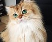 thumb-image-2024-02-29T14:01:43.471Z