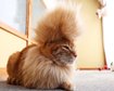 thumb-image-2024-02-29T14:01:43.625Z