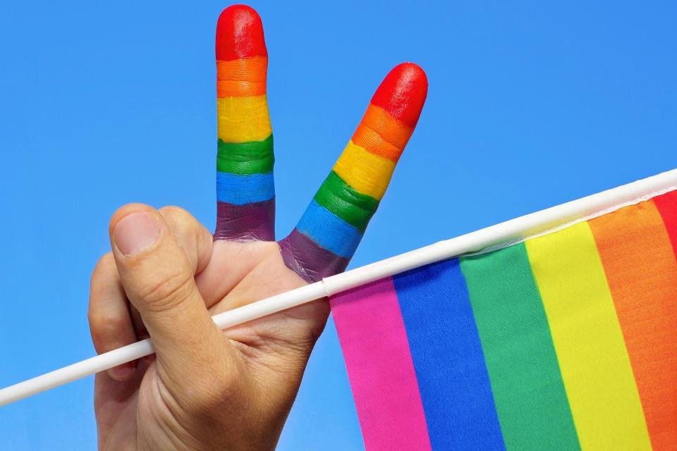 Imagem de 13 razões para existir um dia de combate à homofobia e à transfobia no megacurioso