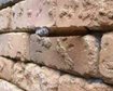 thumb-image-2024-02-29T14:01:44.076Z