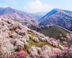 thumb-image-2024-02-29T14:01:44.146Z