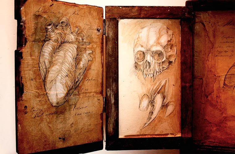 Esqueletos de criaturas fantásticas confundem pessoas