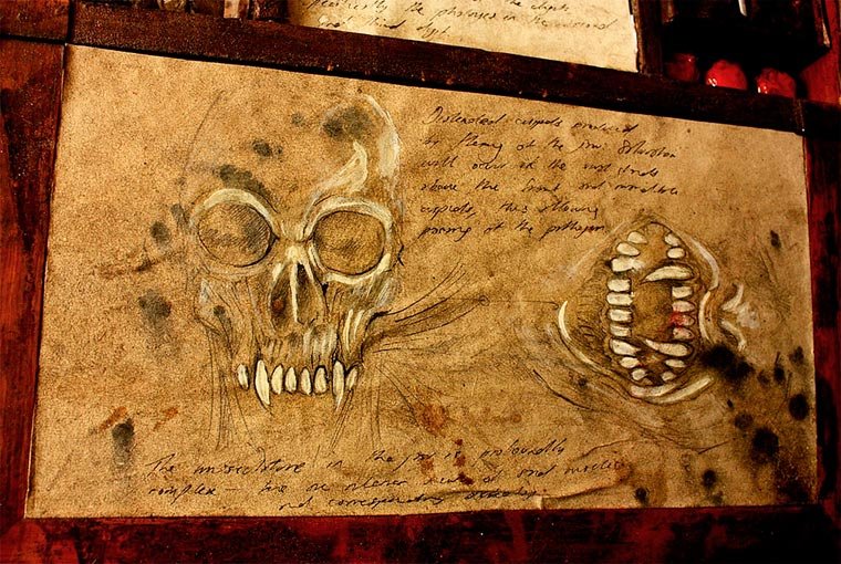 Esqueletos de criaturas fantásticas confundem pessoas