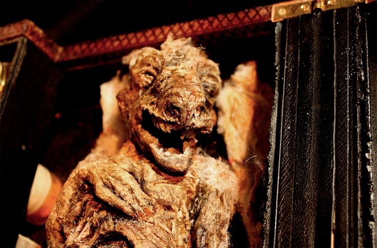 Esqueletos de criaturas fantásticas confundem pessoas