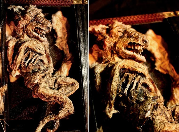 Esqueletos de criaturas fantásticas confundem pessoas