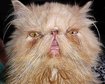 thumb-image-2024-02-29T14:01:44.691Z