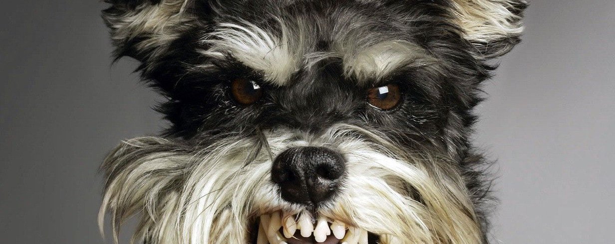 thumb-image-2024-02-29T14:01:44.735Z