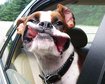 thumb-image-2024-02-29T14:01:44.863Z