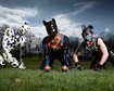 thumb-image-2024-02-29T14:01:45.731Z