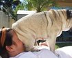 thumb-image-2024-02-29T14:01:46.235Z