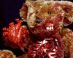 thumb-image-2024-02-29T14:01:46.476Z