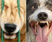 thumb-image-2024-02-29T14:01:47.181Z