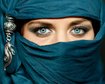 thumb-image-2024-02-29T14:01:47.459Z