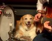 thumb-image-2024-02-29T14:01:47.918Z