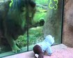 thumb-image-2024-02-29T14:01:47.954Z