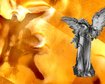 thumb-image-2024-02-29T14:01:48.401Z