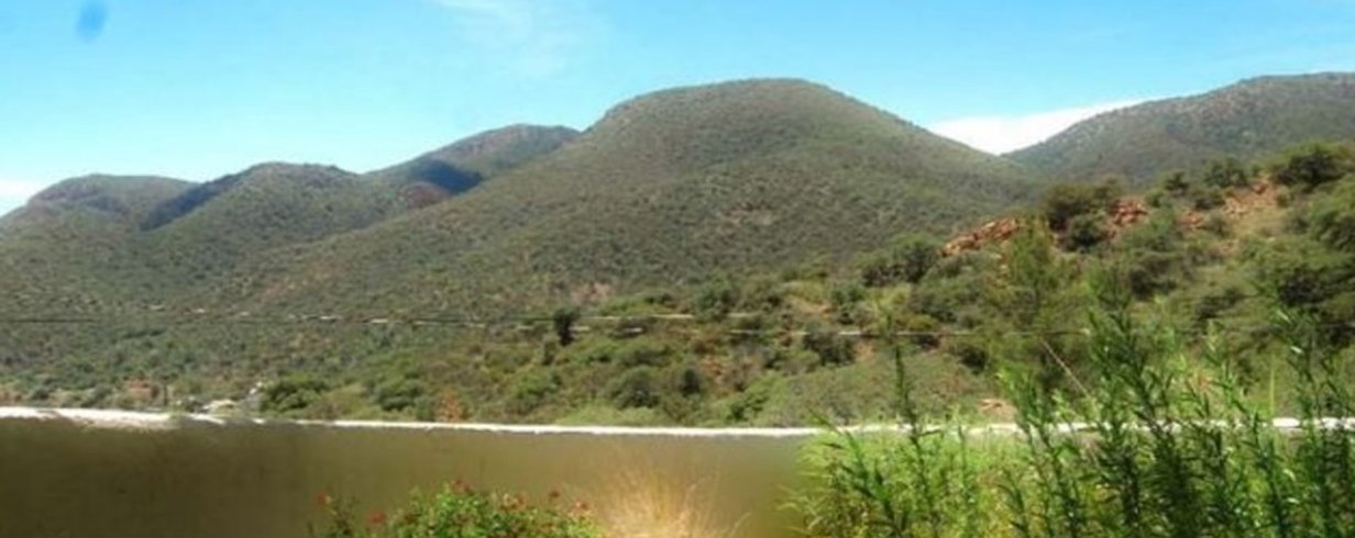 thumb-image-2024-02-29T14:01:48.547Z