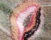 thumb-image-2024-02-29T14:01:48.693Z