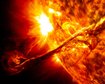 thumb-image-2024-02-29T14:01:49.347Z