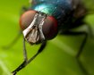 thumb-image-2024-02-29T14:01:49.623Z