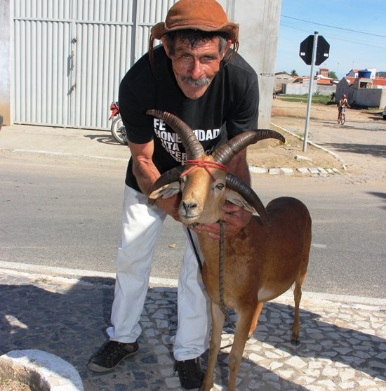 Bode com quatro chifres intriga moradores da Bahia