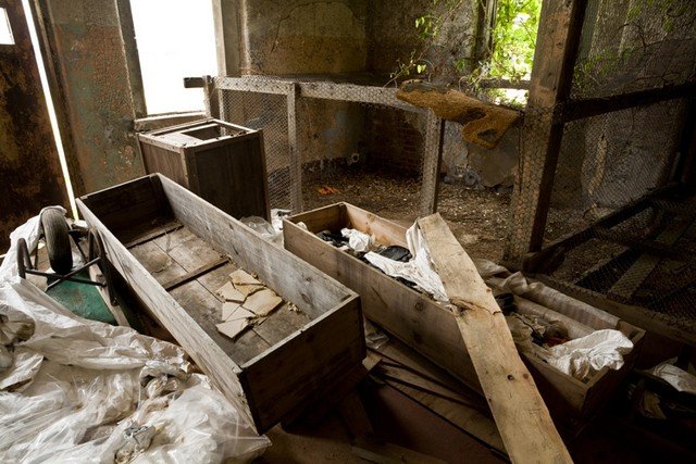 Hart Island: conheça a ilha que abriga imenso cemitério para indigentes