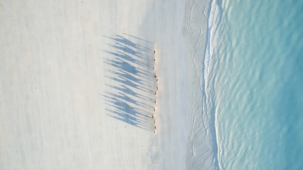 Camelos andando em fila e projetando suas sombras nas areias de Cable Beach, na Austrália