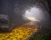 thumb-image-2024-02-29T14:01:51.262Z
