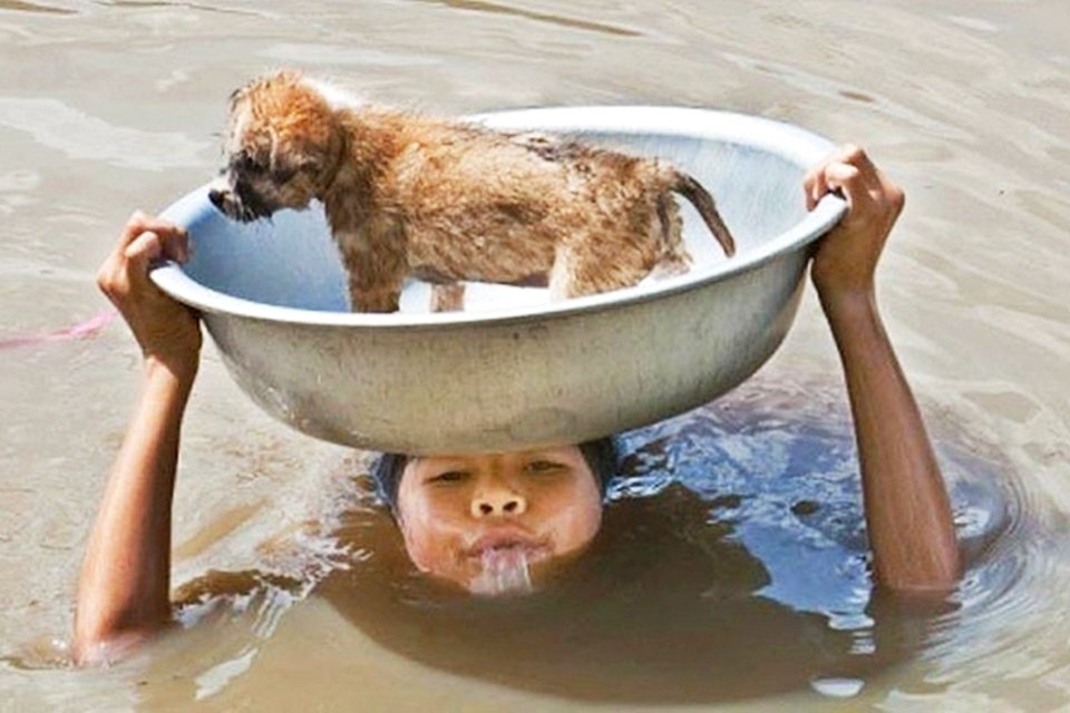 Imagem de Estas 19 crianças vão restaurar a sua fé na humanidade no megacurioso