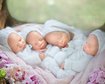 thumb-image-2024-02-29T14:01:52.405Z