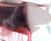 thumb-image-2024-02-29T14:01:52.531Z